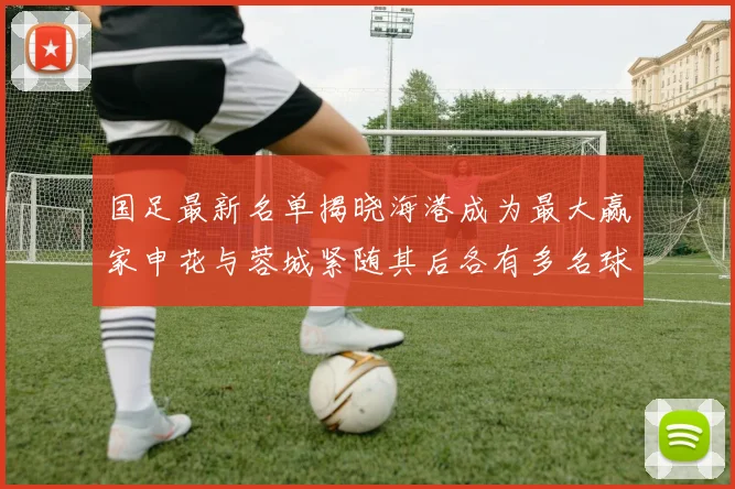 国足最新名单揭晓海港成为最大赢家申花与蓉城紧随其后各有多名球员入选