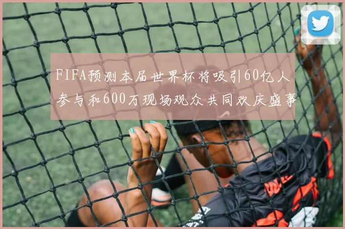 FIFA预测本届世界杯将吸引60亿人参与和600万现场观众共同欢庆盛事